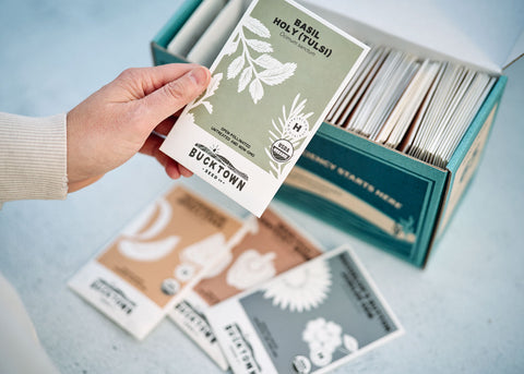 Hand selecting a Bucktown seed packet from an organized seed storage box