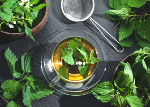 Glass cup of herbal nettle tea surrounded by fresh green leaves and a metal tea strainer on a dark slate surface.