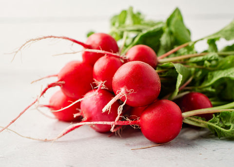 Freshly harvested red radishes with green tops, a cool-season vegetable crop