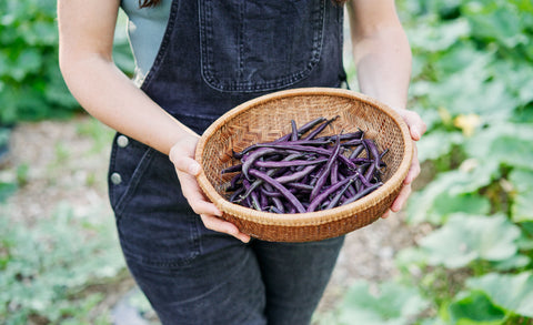 Organic Seeds