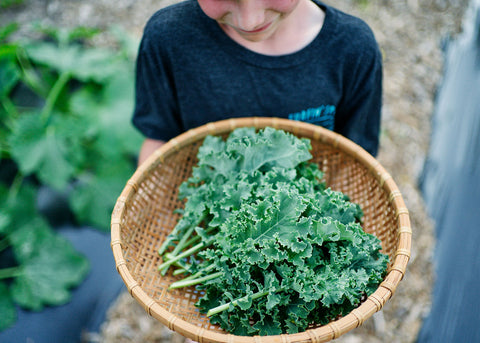 Heirloom Kale Seeds_Bucktown Seed Company