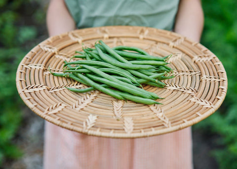 Heirloom Bean Seeds_Organic_Bucktown Seed Company