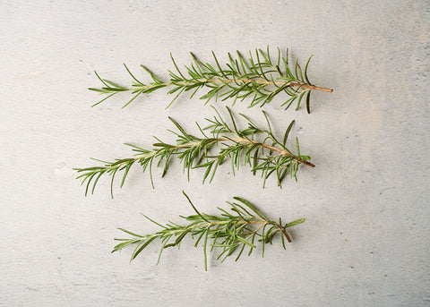 Heirloom Rosemary Seeds_Herb_Bucktown Seed Company_02