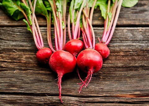 Heirloom Beet Seeds - Bucktown Seed Company