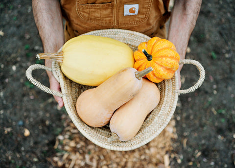 Heirloom Winter Squash Seeds - Bucktown Seed Company