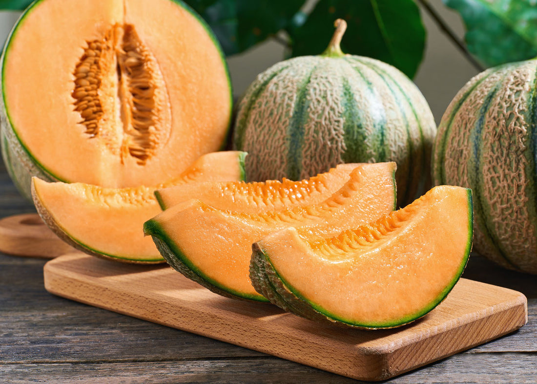 Amish - Melon Cantaloupe Seeds - Organic