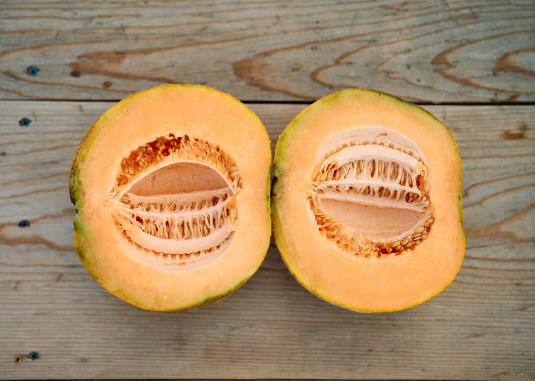 Amish - Melon Cantaloupe Seeds - Organic