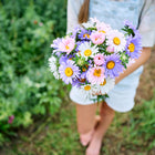 Person holding a bouquet of colorful Crego Mix China aster flowers in shades of pink, purple, and white.