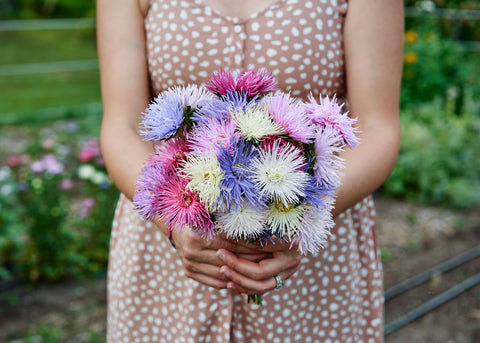 Cut Flower Garden