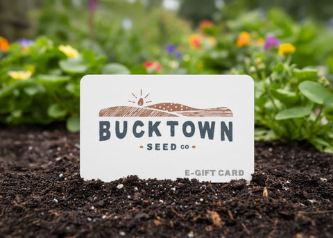 E-Gift Card - Bucktown Seed Co.