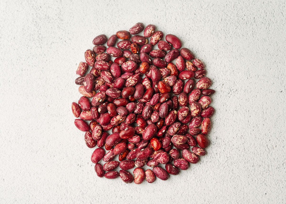 Whipple - Bush Bean Seeds