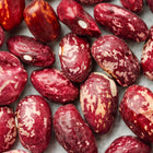 Close-up of Whipple bush bean seeds with speckled maroon, brown, and tan patterns.