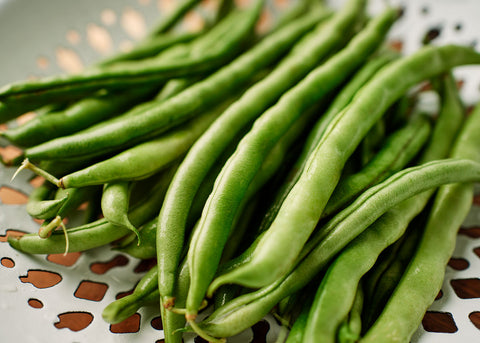 Blue Lake FM1K - Pole Bean Seeds