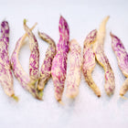 Dragon's Tongue bush beans with pale yellow pods and vibrant purple streaks arranged on a light surface.