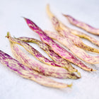 Dragon's Tongue bush beans with pale yellow pods and vibrant purple streaks arranged on a light surface.