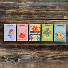 Five colorful seed collection boxes arranged in a row on a rustic dark wood background.