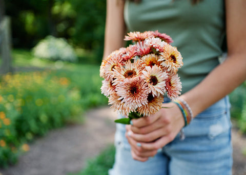 Strawberry Blonde - Calendula Seeds - Organic