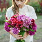 Person holding a vibrant bouquet of Crested Mix celosia with velvety red, pink, and purple ruffled flower heads.