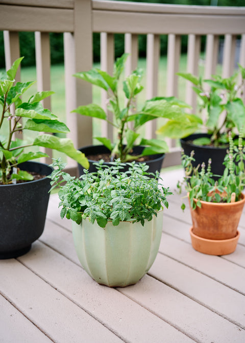 Container Garden