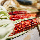 Bloody Butcher corn ears with deep red kernels and dried husks resting on a wooden surface.