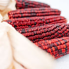 Dried Bloody Butcher corn ears with deep red kernels and light tan husks arranged on a white surface.