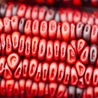 Close-up of deep blood-red kernels on a mature Bloody Butcher dent corn cob.