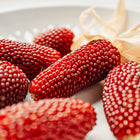 Small, deep red ears of Strawberry Popcorn arranged in a white decorative bowl.