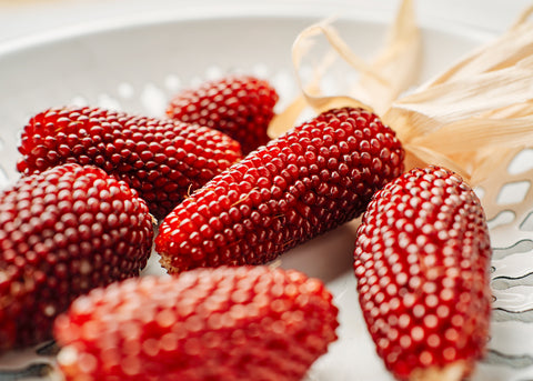 strawberry heirloom seeds Strawberry Popcorn