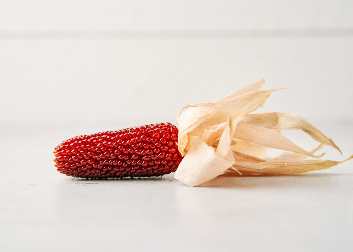 Strawberry Popcorn - Corn Seeds