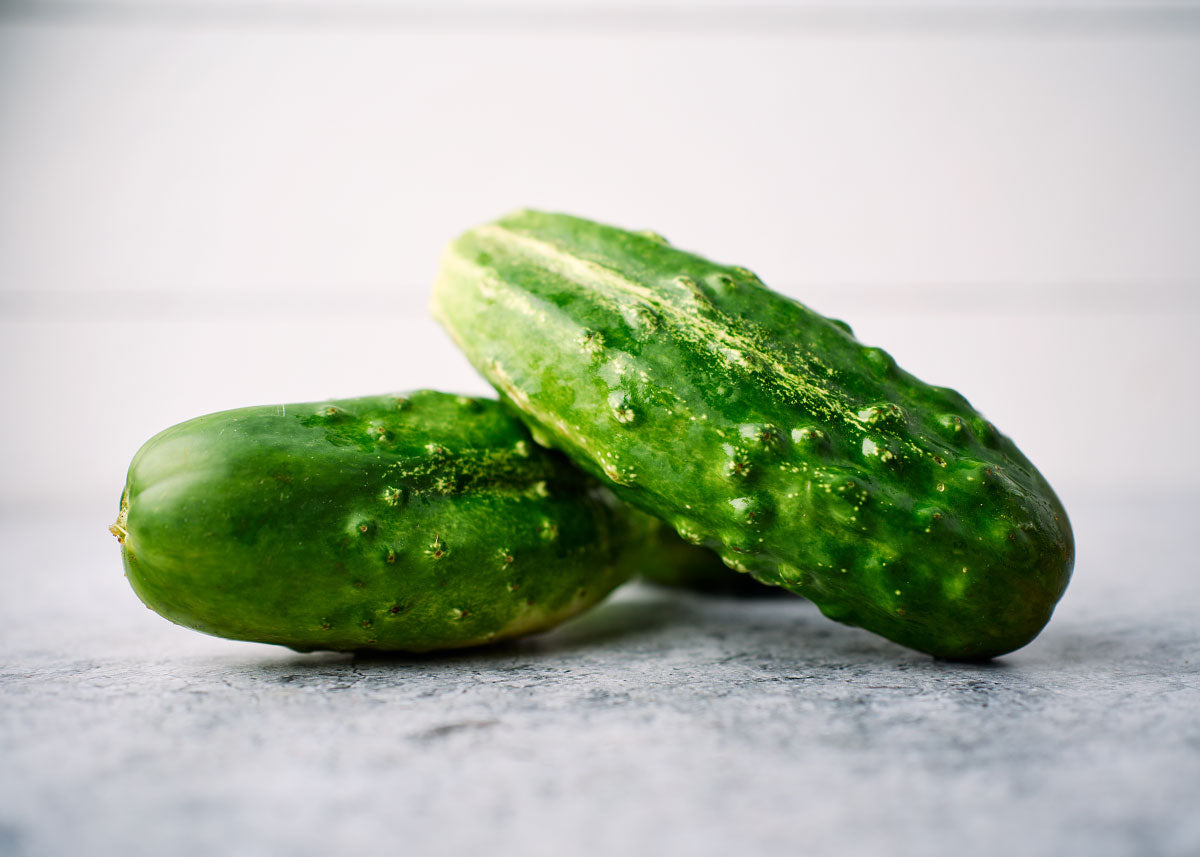 Bushy - Cucumber Seeds - Organic