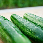 Three fresh, dark green Straight Eight cucumbers resting on a wooden surface.