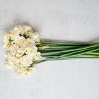 A bouquet of white and yellow Cheerfulness Narcissus flowers with long green stems lying on a light gray surface.