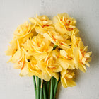 Bouquet of Tahiti narcissus flowers featuring ruffled, creamy yellow petals with orange-red centers on green stems.