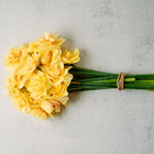 A bouquet of Tahiti narcissus flowers with creamy yellow, ruffled double blooms tied with twine on a gray background.