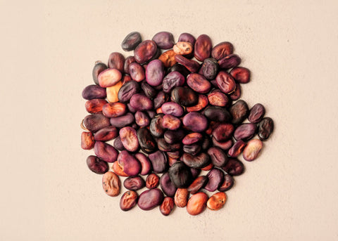 Organic Garden Seeds