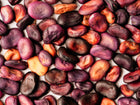 Close-up of dried Bolivian Purple fava beans with deep purple and tan skin textures.