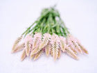 A bouquet of Flamingo Feather celosia with airy, light pink plumes on long green stems.