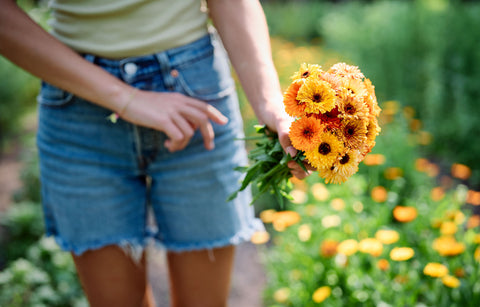 Grow the vegetables, herbs, and flowers that bring your dream garden to life.