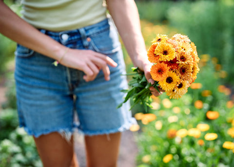 Flashback Mix - Calendula Seeds - Certified Naturally Grown (CNG)