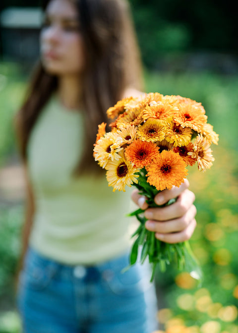 Grow the vegetables, herbs, and flowers that bring your dream garden to life.
