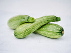 Three pale green Genovese zucchini with slight ribbing and speckled skin resting on a white surface.
