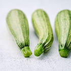 Three Genovese zucchini with pale green, ribbed skin arranged on a light textured surface.
