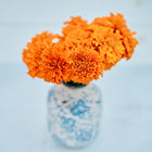 Vibrant orange Hawaii African marigold blooms arranged in a small, blue and white patterned ceramic vase.