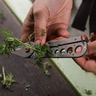 Stainless steel Herb Harvest and Strip Tool being used to pull leaves from a fresh green herb stem.