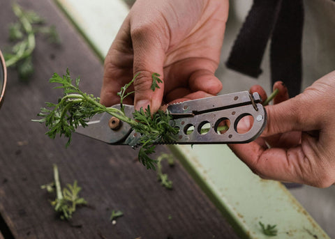 Herb Harvest and Strip Tool - Barebones