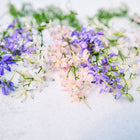 Imperial Blend larkspur flowers in shades of blue, pink, and white scattered on a textured light surface.