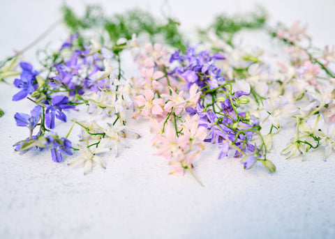 Imperial Blend - Larkspur Seeds
