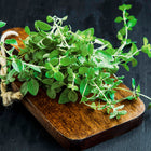 Fresh Italian oregano sprigs with bright green leaves resting on a rustic wooden cutting board against a dark background.