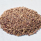 A pile of dark, glossy Jet Black Barley seeds resting on a textured light gray surface.