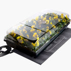 Germination Station with yellow flowers in a 72-cell tray under a clear 2-inch humidity dome on a black heat mat.